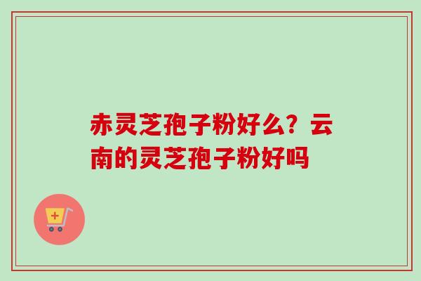 赤灵芝孢子粉好么？云南的灵芝孢子粉好吗