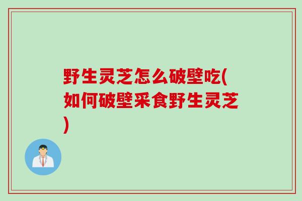 野生灵芝怎么破壁吃(如何破壁采食野生灵芝)