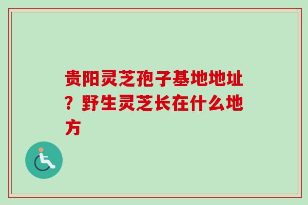 贵阳灵芝孢子基地地址？野生灵芝长在什么地方