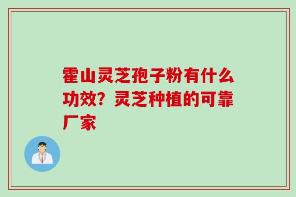 霍山灵芝孢子粉有什么功效？灵芝种植的可靠厂家