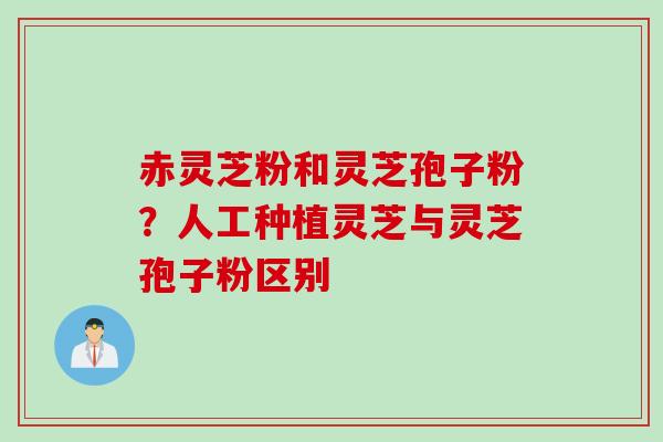 赤灵芝粉和灵芝孢子粉？人工种植灵芝与灵芝孢子粉区别