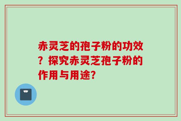 赤灵芝的孢子粉的功效？探究赤灵芝孢子粉的作用与用途？