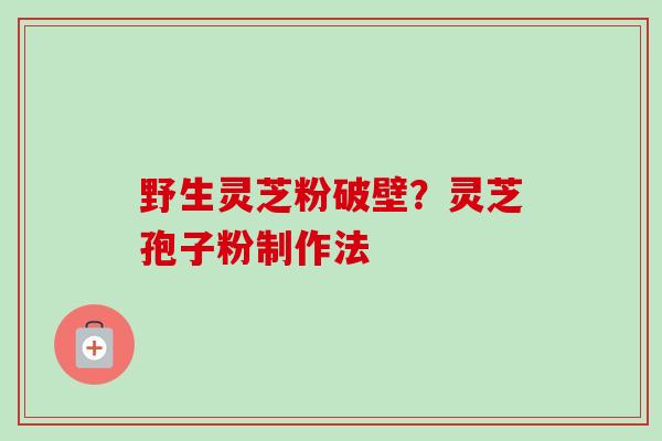 野生灵芝粉破壁？灵芝孢子粉制作法
