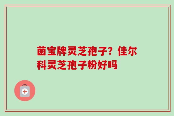 菌宝牌灵芝孢子？佳尔科灵芝孢子粉好吗