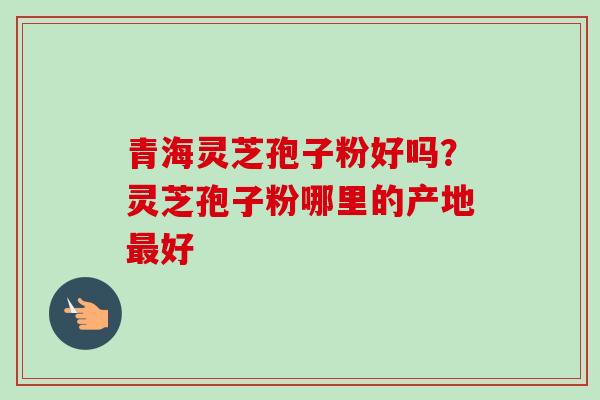 青海灵芝孢子粉好吗？灵芝孢子粉哪里的产地最好