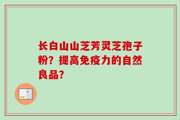 长白山山芝芳灵芝孢子粉？提高免疫力的自然良品？
