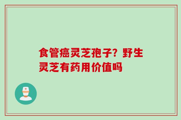 食管癌灵芝孢子？野生灵芝有药用价值吗