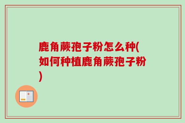 鹿角蕨孢子粉怎么种(如何种植鹿角蕨孢子粉)