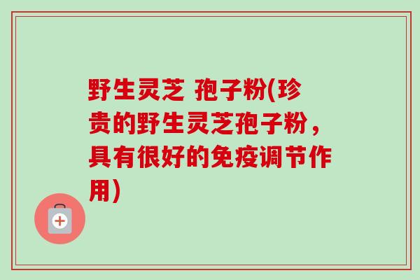 野生灵芝 孢子粉(珍贵的野生灵芝孢子粉，具有很好的免疫调节作用)