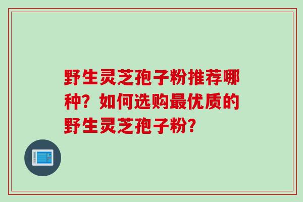 野生灵芝孢子粉推荐哪种？如何选购最优质的野生灵芝孢子粉？