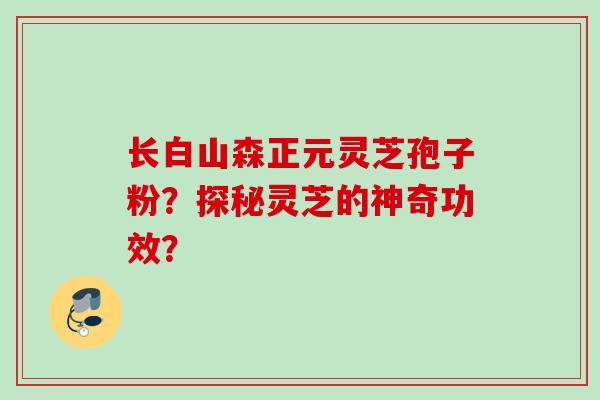 长白山森正元灵芝孢子粉？探秘灵芝的神奇功效？