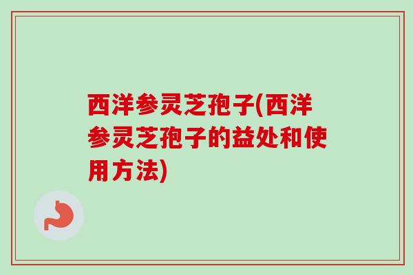 西洋参灵芝孢子(西洋参灵芝孢子的益处和使用方法)