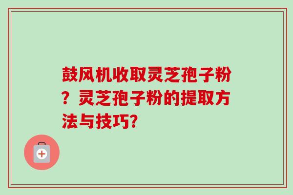 鼓风机收取灵芝孢子粉？灵芝孢子粉的提取方法与技巧？