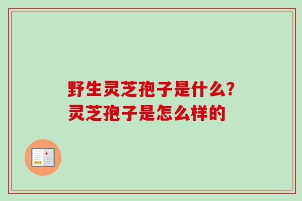 野生灵芝孢子是什么？灵芝孢子是怎么样的
