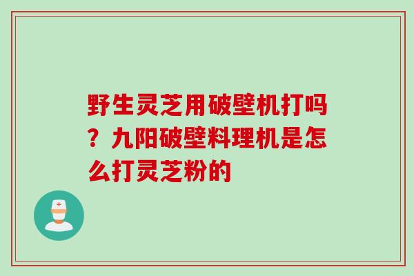 野生灵芝用破壁机打吗？九阳破壁料理机是怎么打灵芝粉的
