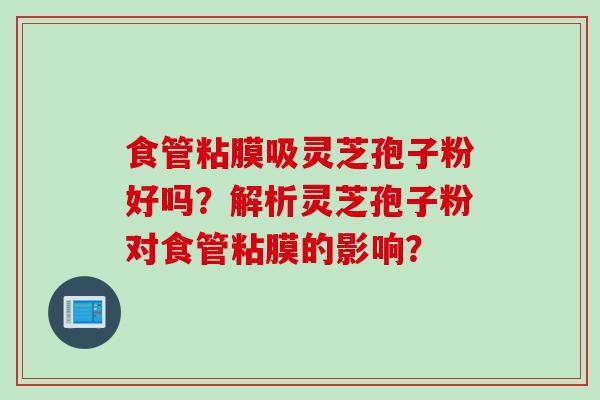 食管粘膜吸灵芝孢子粉好吗？解析灵芝孢子粉对食管粘膜的影响？