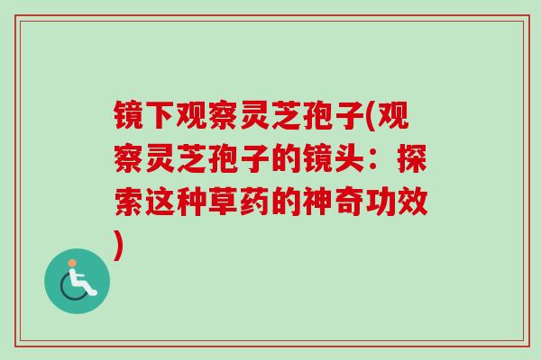 镜下观察灵芝孢子(观察灵芝孢子的镜头：探索这种草药的神奇功效)