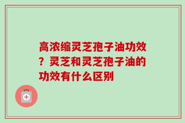 高浓缩灵芝孢子油功效？灵芝和灵芝孢子油的功效有什么区别