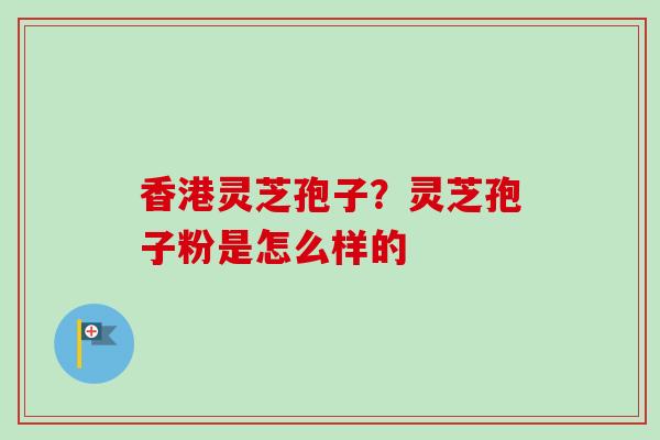 香港灵芝孢子？灵芝孢子粉是怎么样的