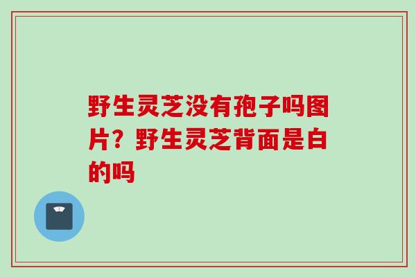野生灵芝没有孢子吗图片？野生灵芝背面是白的吗