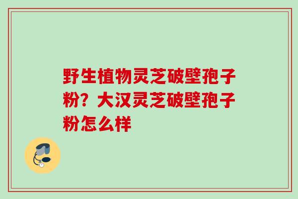 野生植物灵芝破壁孢子粉？大汉灵芝破壁孢子粉怎么样
