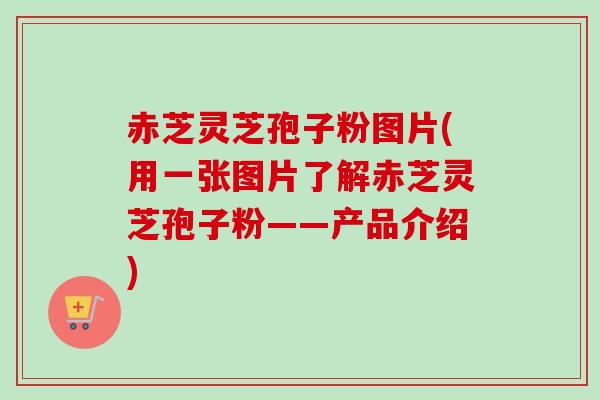 赤芝灵芝孢子粉图片(用一张图片了解赤芝灵芝孢子粉——产品介绍)