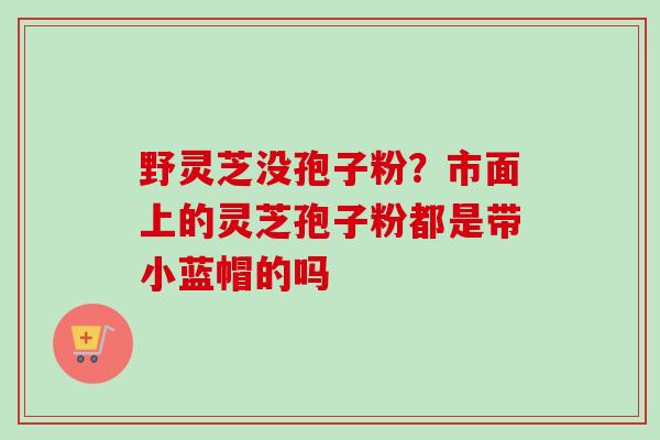 野灵芝没孢子粉？市面上的灵芝孢子粉都是带小蓝帽的吗