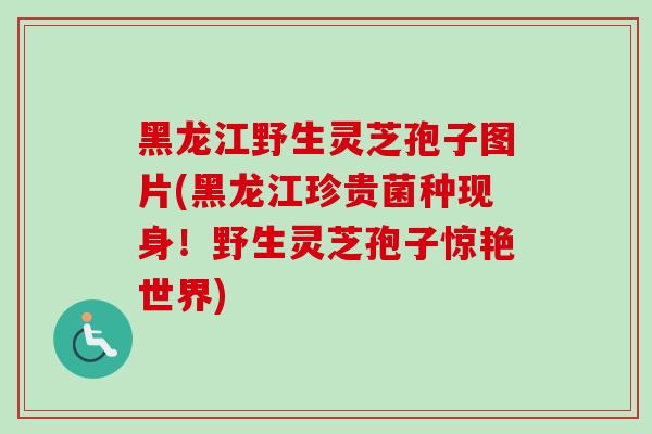 黑龙江野生灵芝孢子图片(黑龙江珍贵菌种现身！野生灵芝孢子惊艳世界)