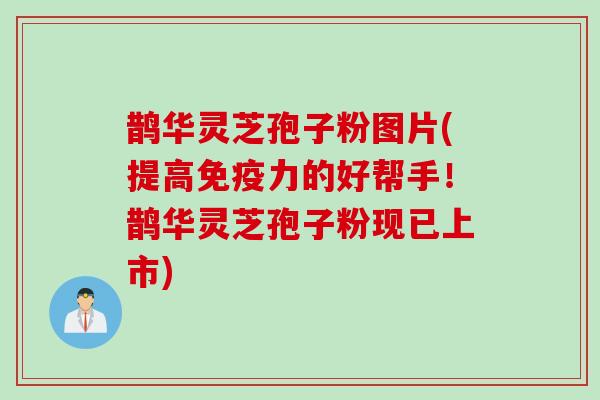 鹊华灵芝孢子粉图片(提高免疫力的好帮手！鹊华灵芝孢子粉现已上市)