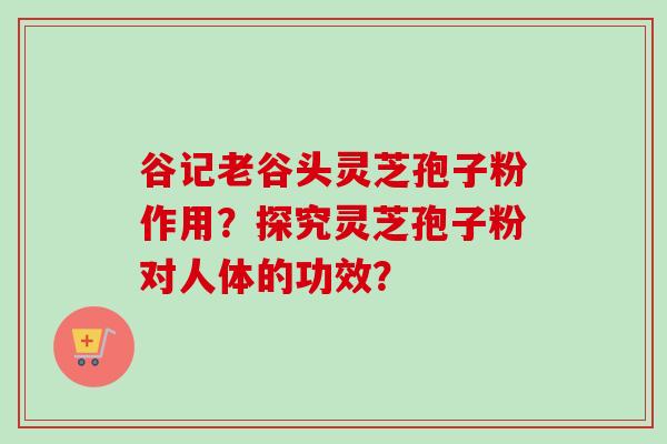 谷记老谷头灵芝孢子粉作用？探究灵芝孢子粉对人体的功效？