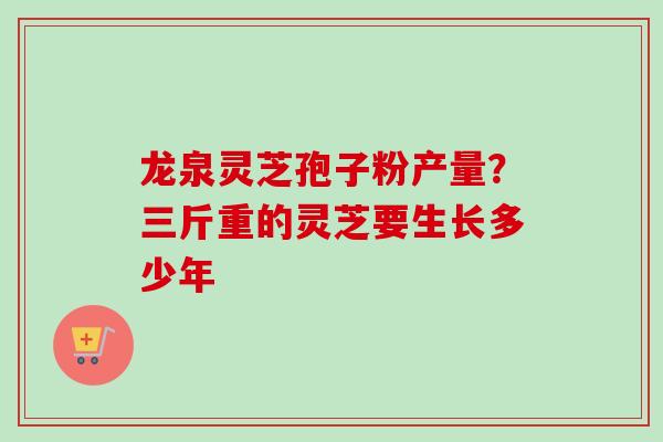 龙泉灵芝孢子粉产量？三斤重的灵芝要生长多少年