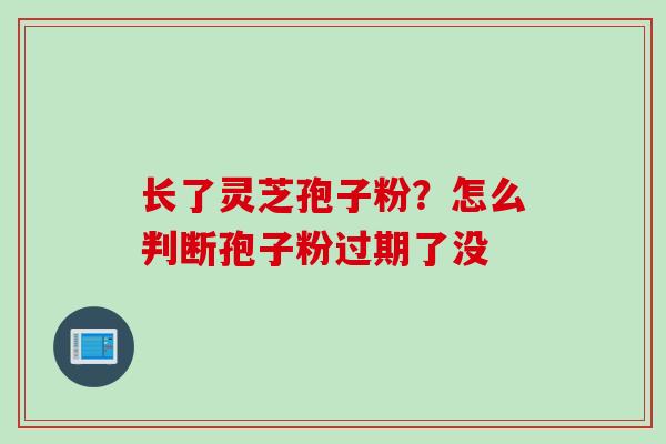 长了灵芝孢子粉？怎么判断孢子粉过期了没