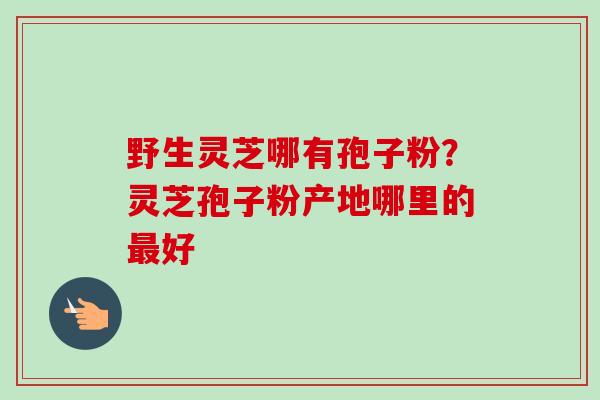 野生灵芝哪有孢子粉？灵芝孢子粉产地哪里的最好