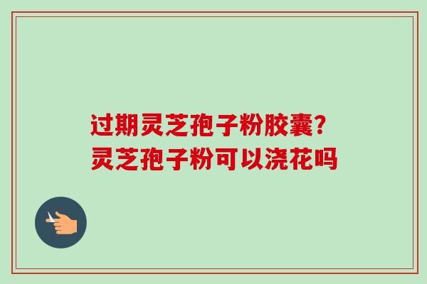 过期灵芝孢子粉胶囊？灵芝孢子粉可以浇花吗
