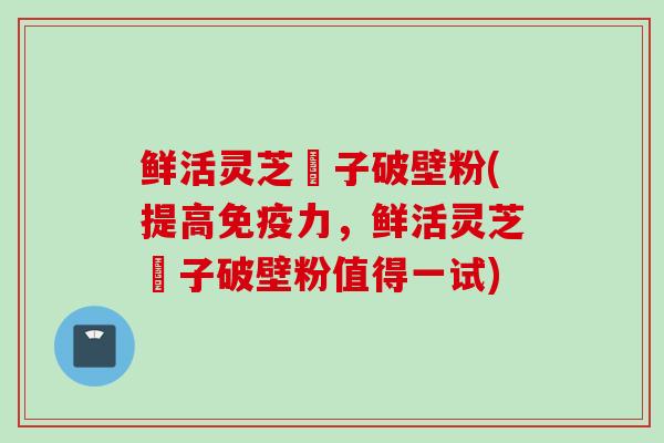 鲜活灵芝菢子破壁粉(提高免疫力，鲜活灵芝菢子破壁粉值得一试)