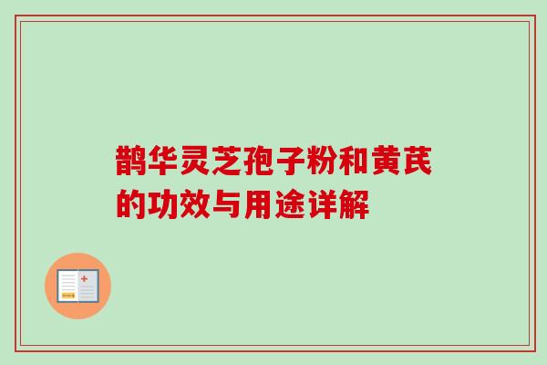 鹊华灵芝孢子粉和黄芪的功效与用途详解