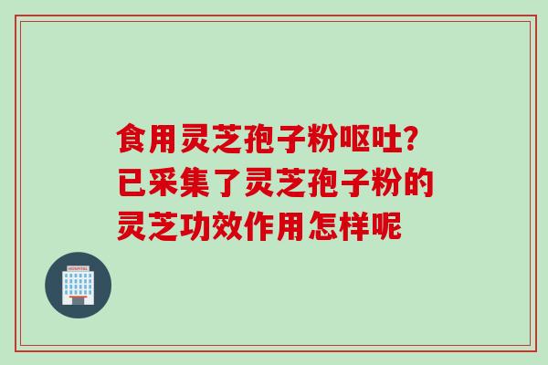 食用灵芝孢子粉呕吐？已采集了灵芝孢子粉的灵芝功效作用怎样呢