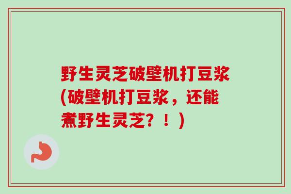 野生灵芝破壁机打豆浆(破壁机打豆浆，还能煮野生灵芝？！)