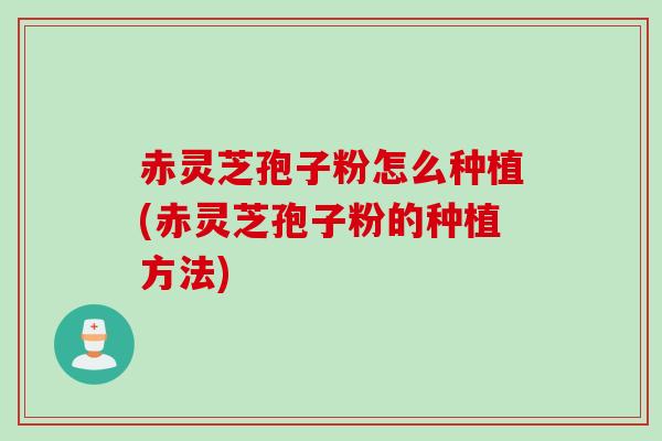 赤灵芝孢子粉怎么种植(赤灵芝孢子粉的种植方法)