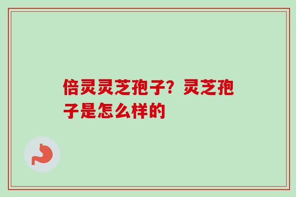 倍灵灵芝孢子？灵芝孢子是怎么样的