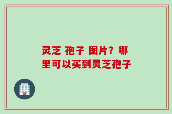 灵芝 孢子 图片?哪里可以买到灵芝孢子 灵芝 孢子 图片?哪里可以买到灵芝孢子