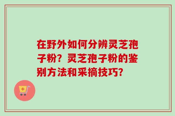 在野外如何分辨灵芝孢子粉？灵芝孢子粉的鉴别方法和采摘技巧？