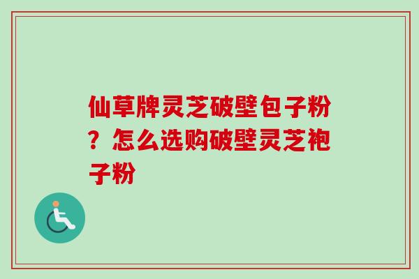 仙草牌灵芝破壁包子粉？怎么选购破壁灵芝袍子粉