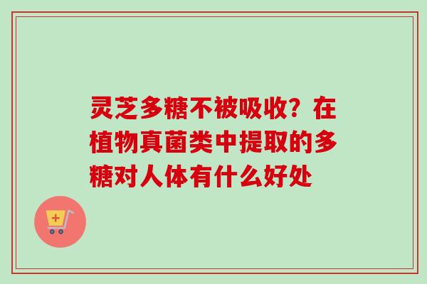 灵芝多糖不被吸收？在植物真菌类中提取的多糖对人体有什么好处
