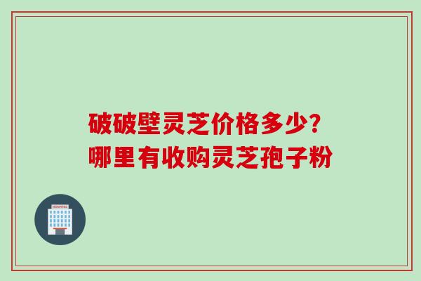 破破壁灵芝价格多少？哪里有收购灵芝孢子粉