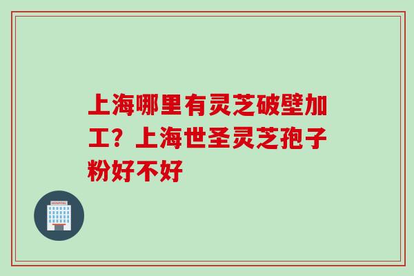 上海哪里有灵芝破壁加工？上海世圣灵芝孢子粉好不好