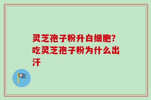 灵芝孢子粉升白细胞？吃灵芝孢子粉为什么出汗