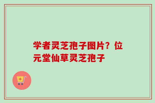 学者灵芝孢子图片？位元堂仙草灵芝孢子