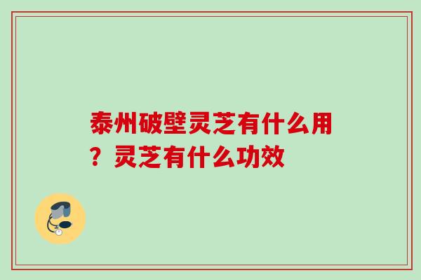 泰州破壁灵芝有什么用？灵芝有什么功效