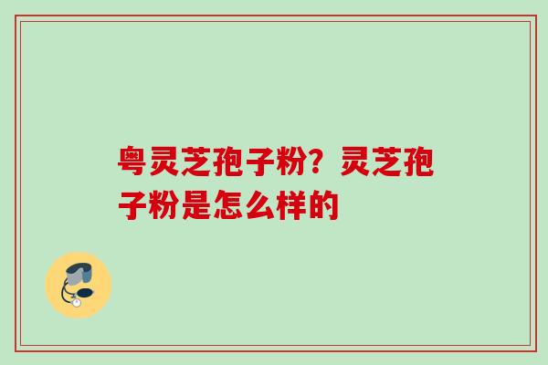 粤灵芝孢子粉？灵芝孢子粉是怎么样的
